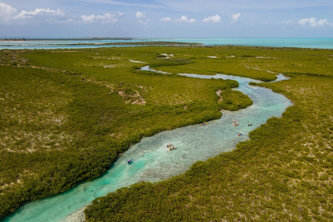 2 Hours Clear Kayaking Activity on Mangrove Cay - Paddling into Mangrove Cay