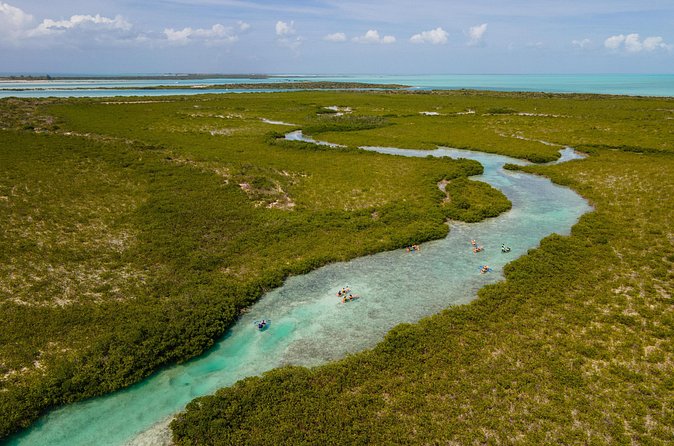 2 Hours Clear Kayaking Activity on Mangrove Cay - The two-hour route and its rhythm