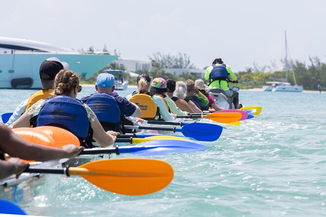 2 Hours Clear Kayaking Activity on Mangrove Cay - Kayak condition and water comfort