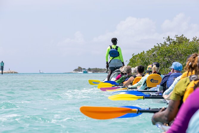 2 Hours Clear Kayaking Activity on Mangrove Cay - Is $125 a fair price?
