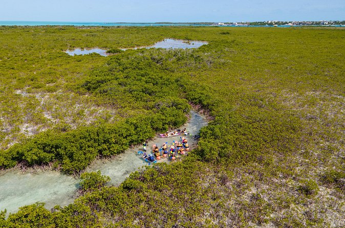 2 Hours Clear Kayaking Activity on Mangrove Cay - Weather, cancellation, and planning advice
