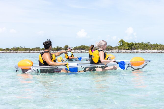 2 Hours Clear Kayaking Activity on Mangrove Cay - What the local guide adds