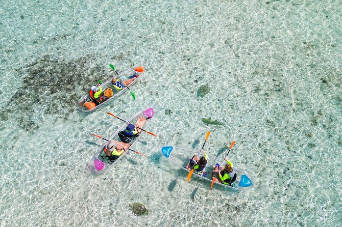 3HR Clear Kayak Mangrove and iguana island Tour in Leeward - Starting at Leeward’s Walkin Marina