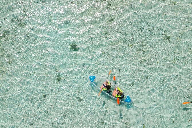 3HR Clear Kayak Mangrove and iguana island Tour in Leeward - What the $155 price really buys you