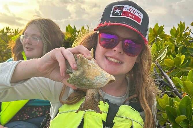 3hr Clear Kayak Tour of Mangroves, Marine Life and Iguanas - Why the mangroves make this tour special