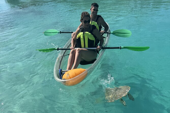 3hr Clear Kayak Tour of Mangroves, Marine Life and Iguanas - The beach stop and endangered Rock Iguanas