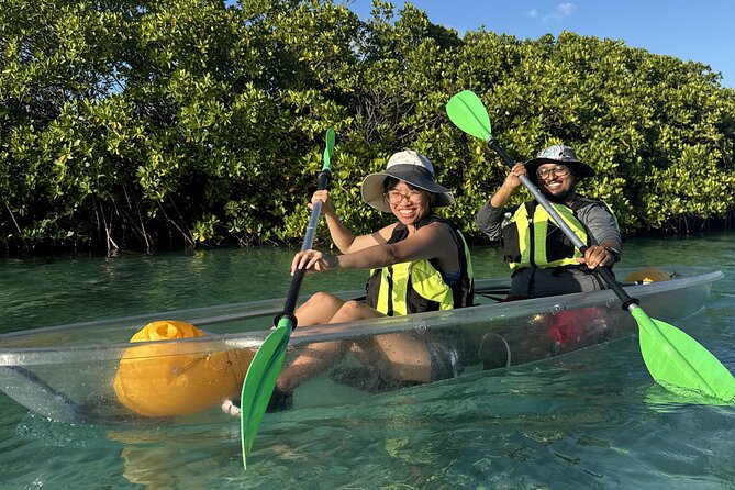 3hr Clear Kayak Tour of Mangroves, Marine Life and Iguanas - Who will enjoy this clear kayak outing?