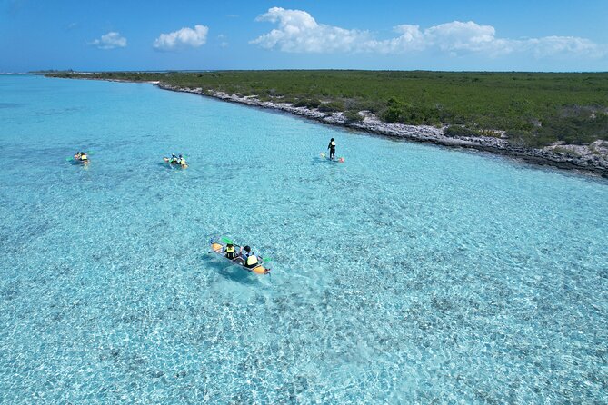 3hr Clear Kayak Tour of Mangroves, Marine Life and Iguanas - Paddling through Mangrove Cay