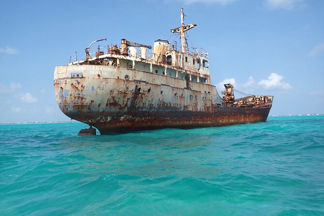 3HR Emerald reef snorkeling, iguana island and shipwreck tour - Why this three-hour boat trip works so well
