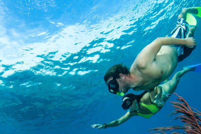 3HR Emerald reef snorkeling, iguana island and shipwreck tour - Little Water Cay and the walk to Iguana Island