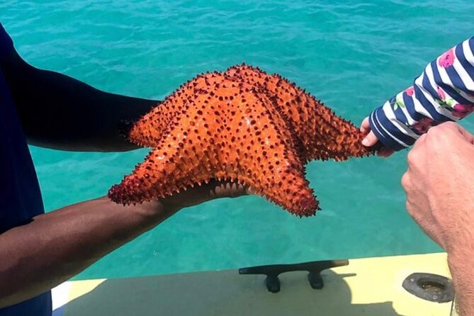 3hr Seaside Scavenger hunt - Iguana Island, swimming, and a quiet beach stop
