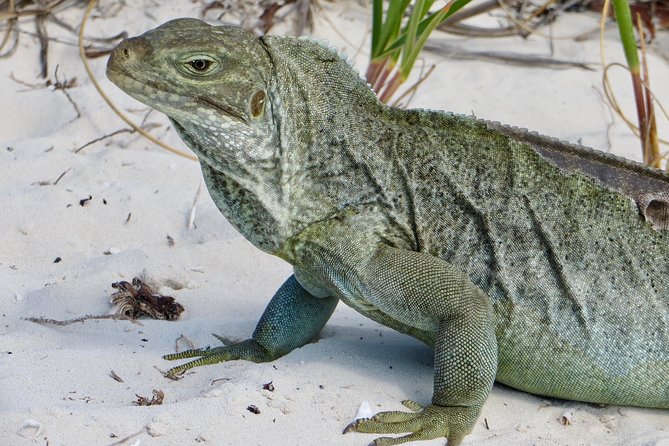 4-Hour Catamaran Sail and Snorkel Tour from Grace Bay - A Grace Bay Start With Very Little Fuss