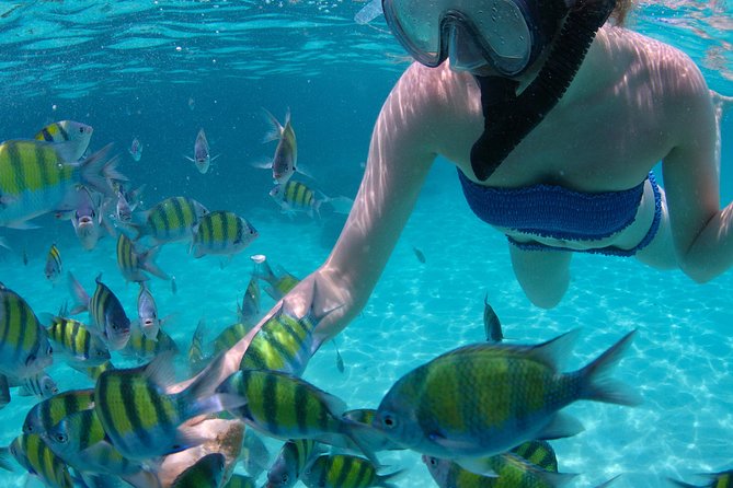 4-Hour Catamaran Sail and Snorkel Tour from Grace Bay - Crew Service and the Mood Onboard