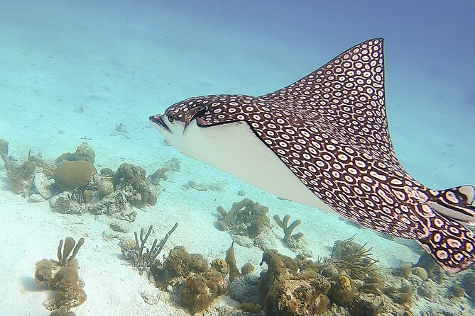 4 Hour Private Catamaran Sail and Snorkel from Grace Bay Beach, Providenciales - Food, drinks, music, and the rhythm of the day