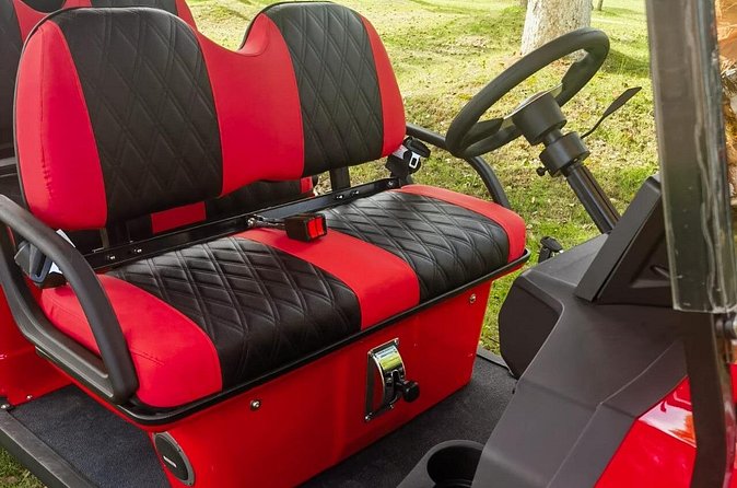 4 Seater Luxury Golf Carts Rental in Grand Turk - Who Will Enjoy This Rental Most?