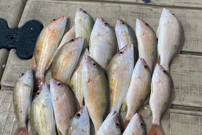 4HR-Halfday Private Fishing Tour in Gracebay - Setting out from Grace Bay at 8:30 am