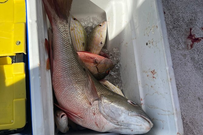 4HR-Halfday Private Fishing Tour in Gracebay - Weather, safety, and the cancellation terms