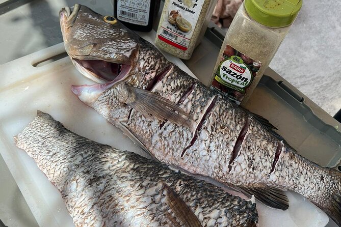4HR-Halfday Private Fishing Tour in Gracebay - Who gets the best value from this outing