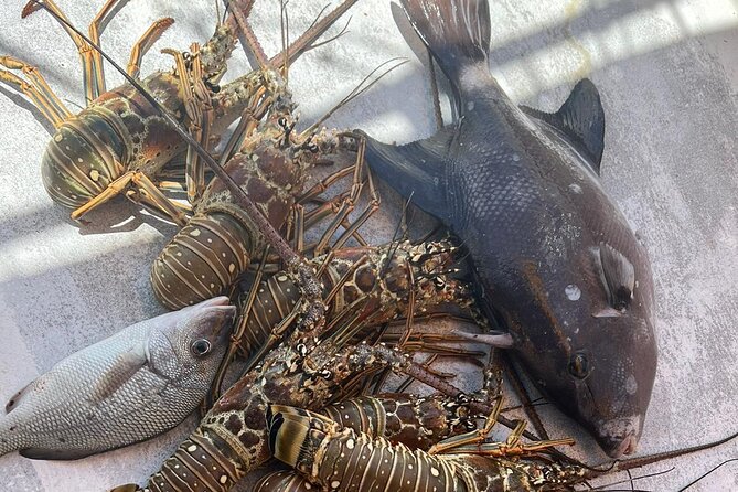 4HR-Halfday Private Fishing Tour in Gracebay - How the $1,680 price works in real terms