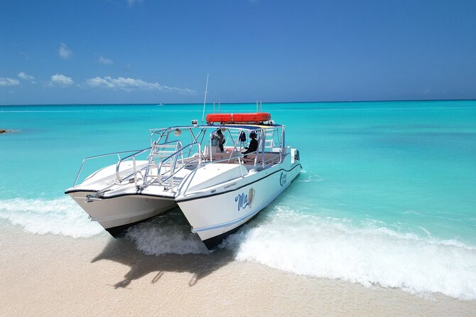 4HR Private Half-day Boat in Gracebay - Dolphins, Stingrays, Turtles, and Sharks