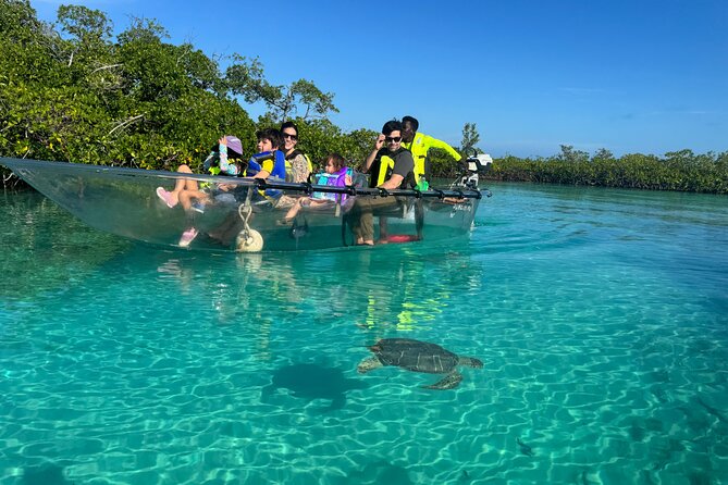 6-Passenger Motorized Clear Kayak Mangrove Tour in Providenciales - Key points at a glance
