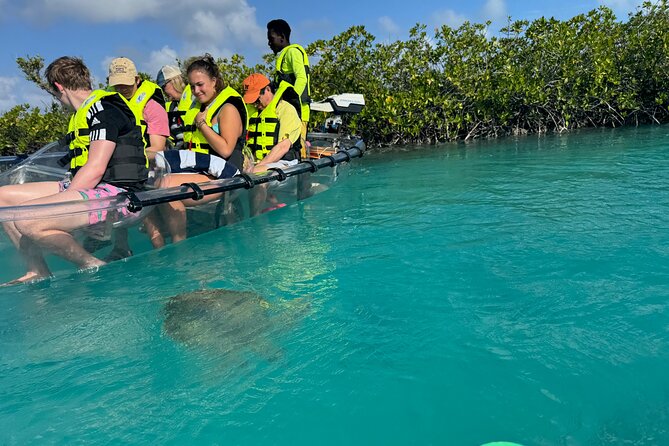 6-Passenger Motorized Clear Kayak Mangrove Tour in Providenciales - Why this clear kayak tour feels different