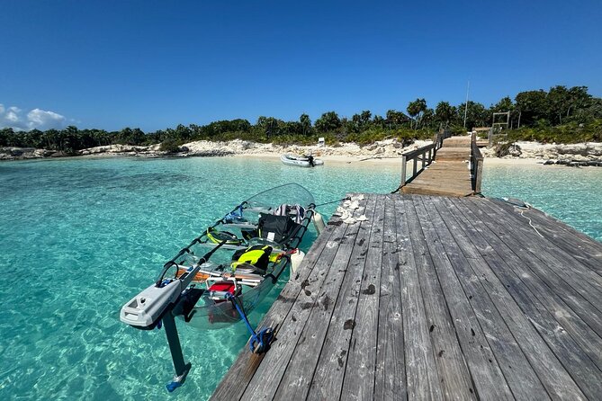 6-Passenger Motorized Clear Kayak Mangrove Tour in Providenciales - Wildlife to watch for below the boat