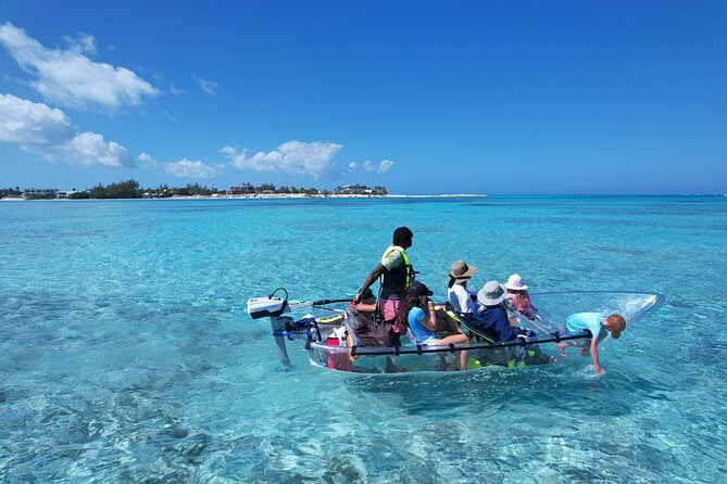 6-Passenger Motorized Clear Kayak Mangrove Tour in Providenciales - A calm ride for families and mixed-age groups