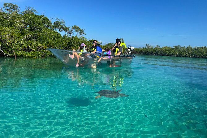 6-Passenger Motorized Clear Kayak Mangrove Tour in Providenciales - What the $482 private price really buys