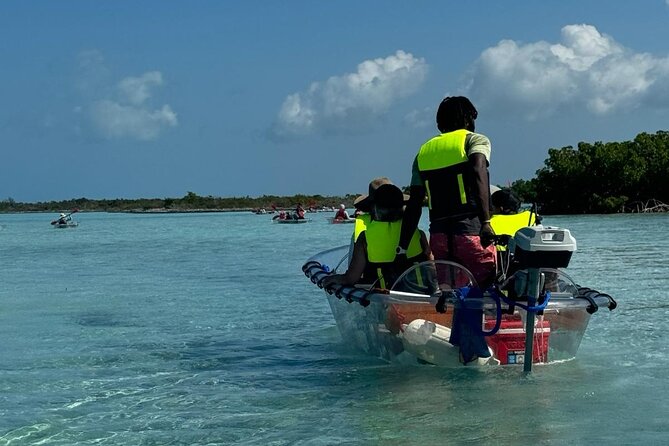 6-Passenger Motorized Clear Kayak Mangrove Tour in Providenciales - The best way to prepare
