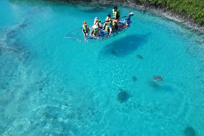 6-Passenger Motorized Clear Kayak Mangrove Tour in Providenciales - Who should book this Mangrove Cay outing