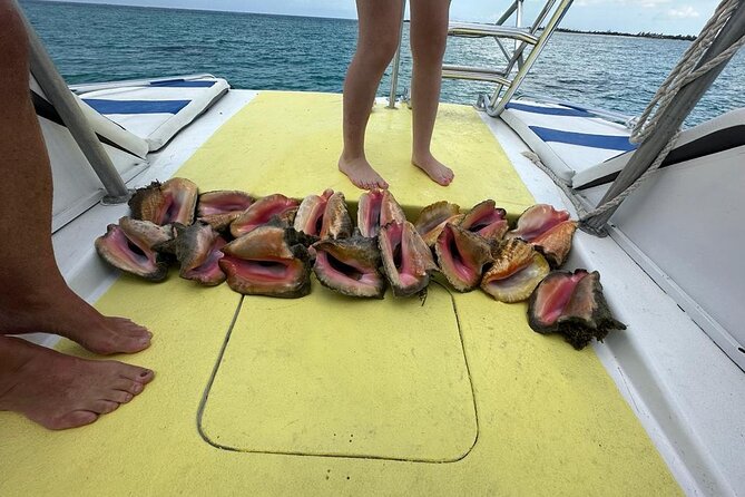 6HR-Provo Cays exploration with Lunch in Gracebay - Beach time, sandbars, and room to slow down