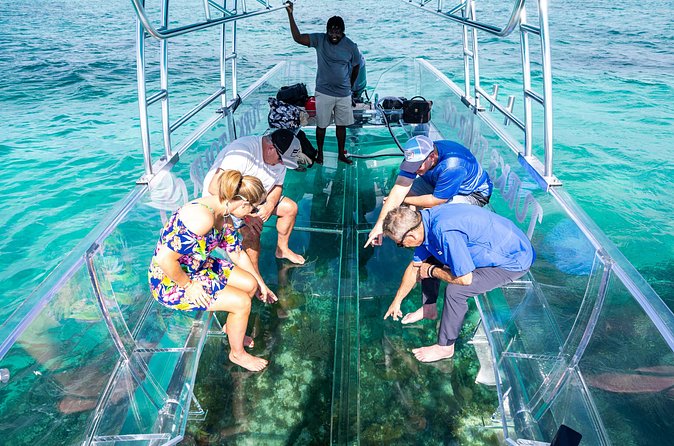 75 Minutes Clear Boat Tour in Caicos Island - Who will enjoy this tour most?