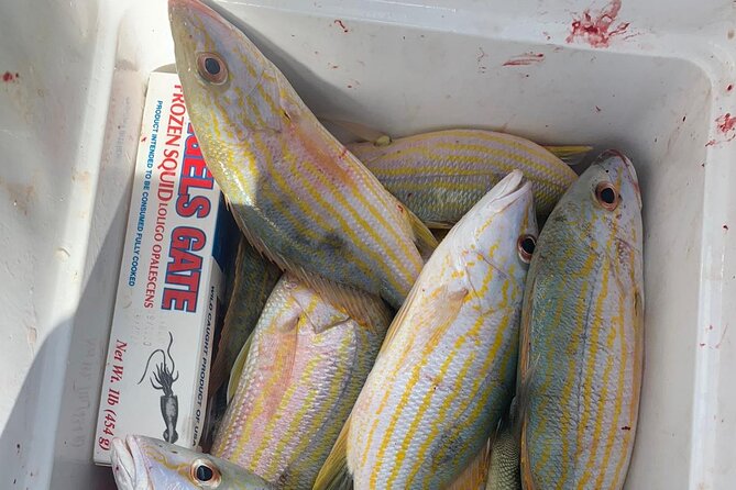 8HR Catch and Grill in Turks and Caicos Islands - A 10 a.m. start on Providenciales waters