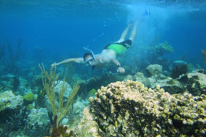 8HR Fullday Private Boat in Gracebay - Shell hunting and quiet time at Fort George Cay