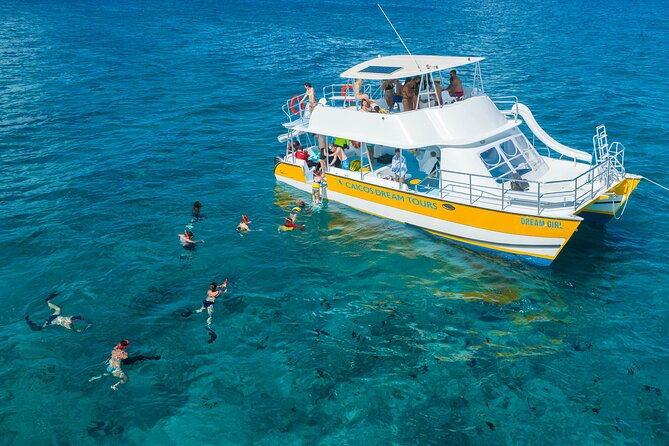 Afternoon Half Day Cruise from Providenciales with Snorkeling and Iguana Island - Meeting the Rock Iguanas on Iguana Island