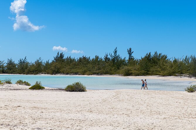 Afternoon Half Day Cruise from Providenciales with Snorkeling and Iguana Island - Lunch, rum punch, and what you actually receive