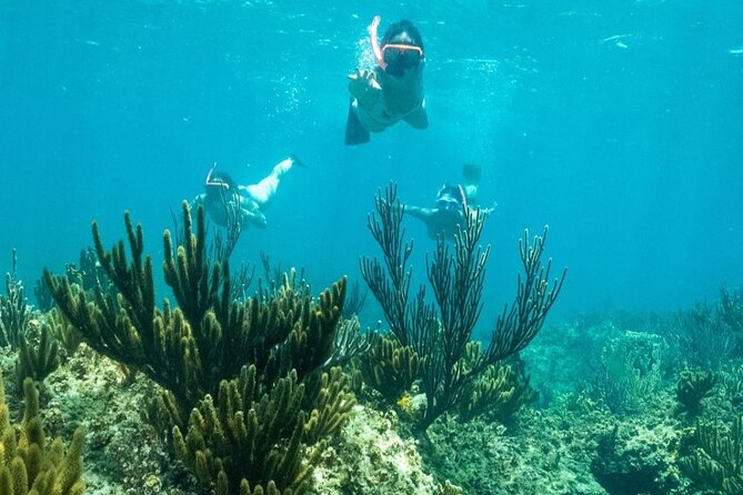 All Day Adventure with a Beach BBQ Feast from Providenciales - Half Moon Bay and the stop at Iguana Island