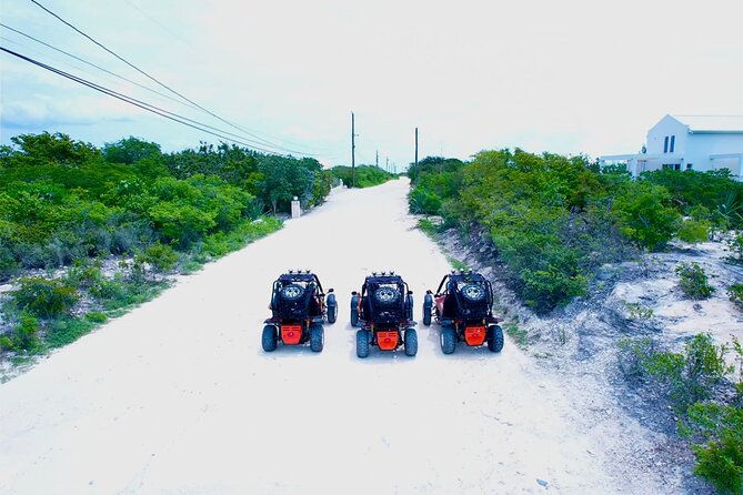 ATV and UTV plus dune buggy Island Excursion in Providenciales - Who will enjoy this most