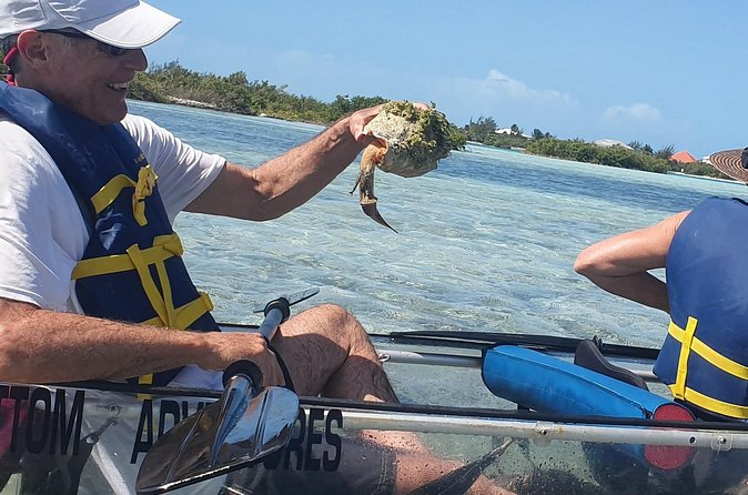 Clear Bottom Kayaks Mangrove Tour - Guides can make or break the experience