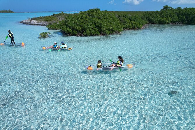 Clear Kayak Eco Tour Explore Mangroves and Meet the Turtles - The clear kayak question: great idea, mixed equipment