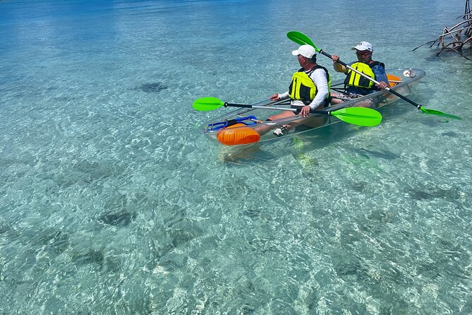 Clear Kayak Eco Tour Explore Mangroves and Meet the Turtles - How hard is the paddling?
