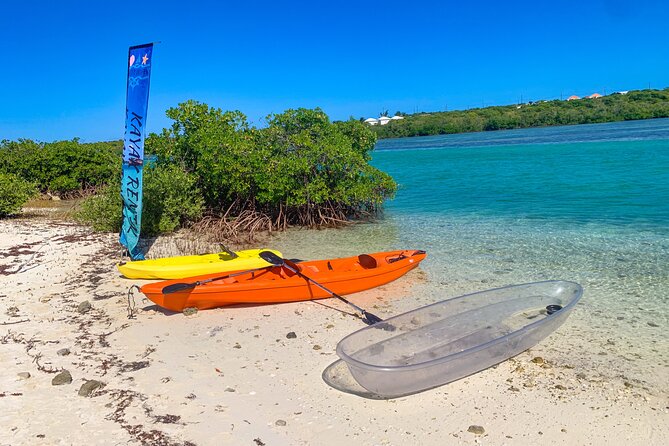 Clear kayak Grand Turk Island Kayak Tour of the mangroves - Fish below and nesting birds above