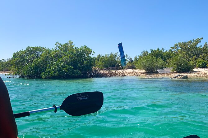 Clear kayak Grand Turk Island Kayak Tour of the mangroves - How long the outing takes and who will enjoy it