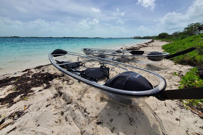 Clear Kayak Mangrove Eco Tour - Key points to know before booking