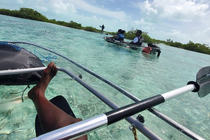 Clear Kayak Mangrove Eco Tour - Seeing Providenciales through a clear kayak
