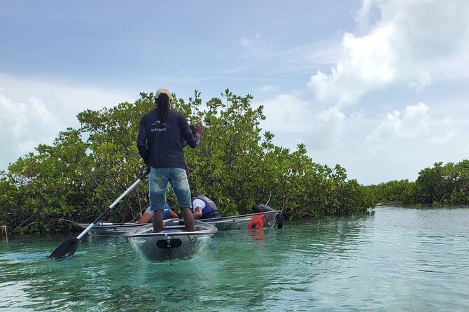 Clear Kayak Mangrove Eco Tour - What the two-hour outing feels like