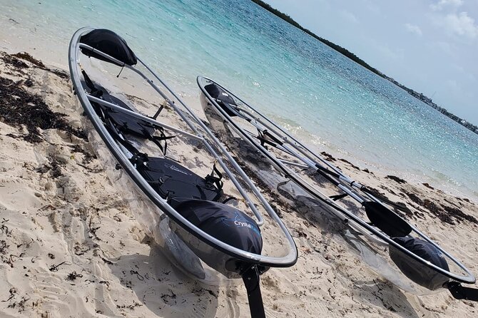 Clear Kayak Mangrove Eco Tour - The $240 price and what it really covers