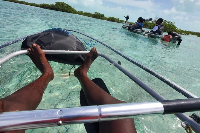 Clear Kayak Mangrove Eco Tour - Pickup, meeting details, and timing