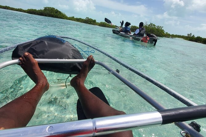 Clear Kayak Mangrove Eco Tour - Weather, cancellations, and the sensible way to plan